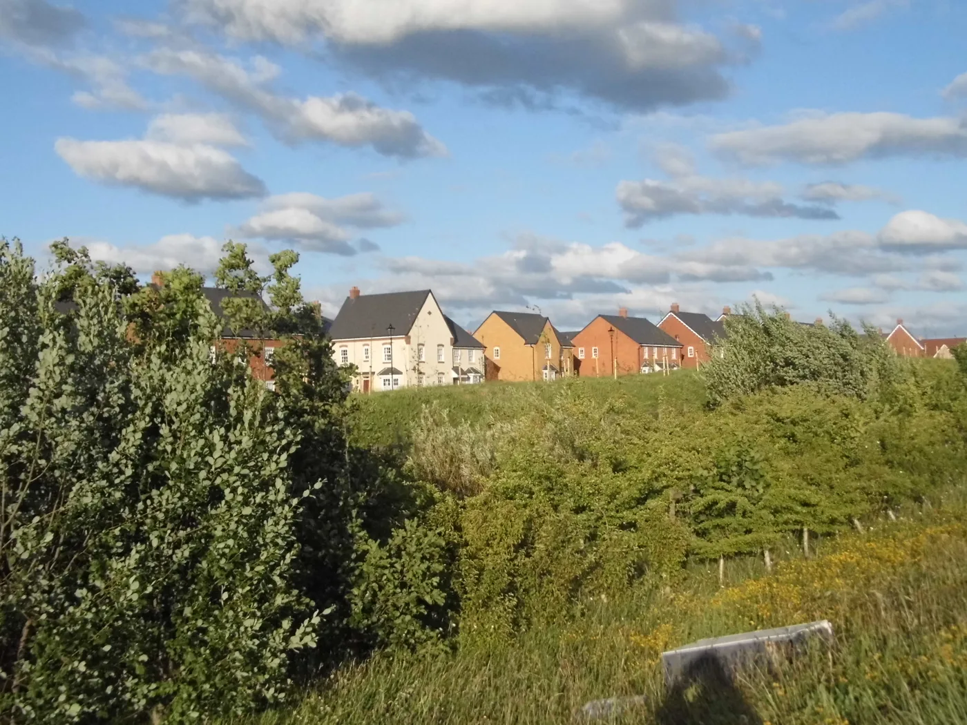 New-build houses at Kempston. Semi-detached and terraced homes are rising fastest across the borough.