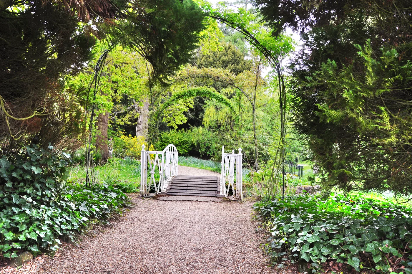 A bridge in the Swiss Garden at Old Warden, photographed by day. Shuttleworth in Lights illuminates the garden on four weekends from 4 December